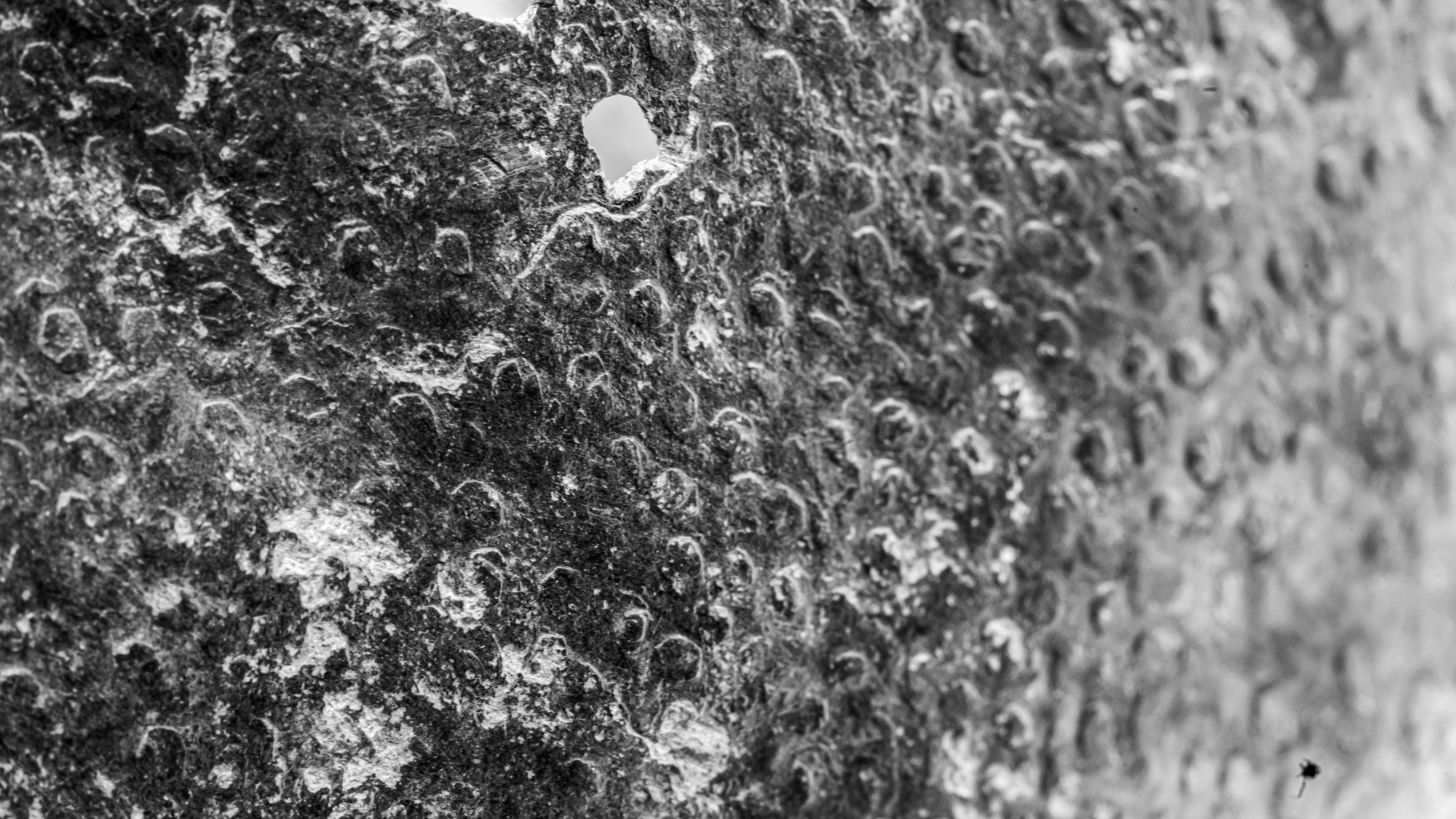 Mălăiești bronze vessel decoration detail in BW